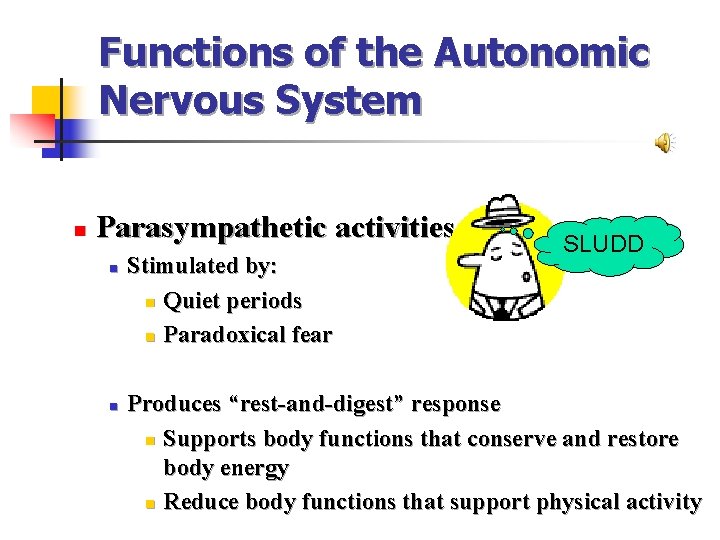 Functions of the Autonomic Nervous System n Parasympathetic activities n n Stimulated by: n