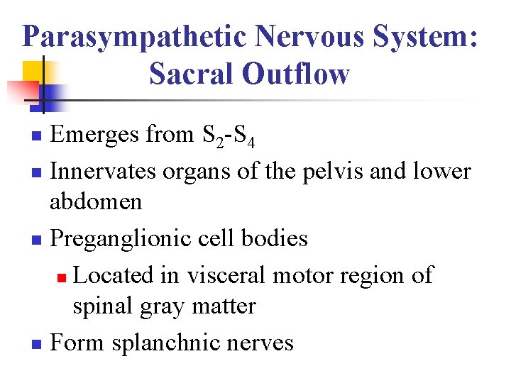Parasympathetic Nervous System: Sacral Outflow Emerges from S 2 -S 4 n Innervates organs