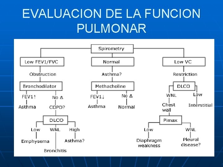 EVALUACION DE LA FUNCION PULMONAR 