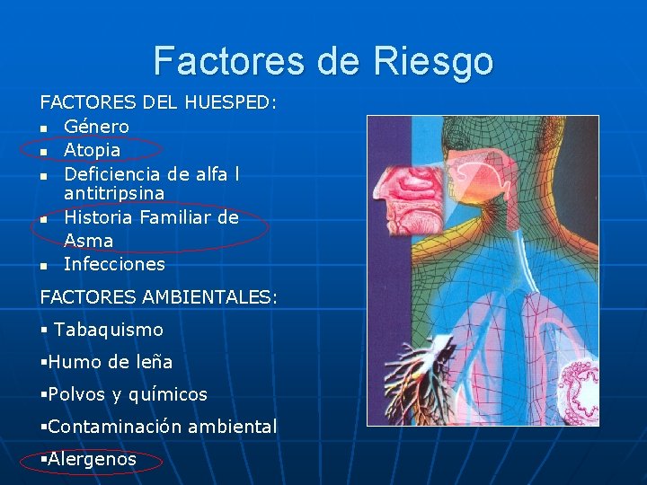 Factores de Riesgo FACTORES DEL HUESPED: n Género n Atopia n Deficiencia de alfa