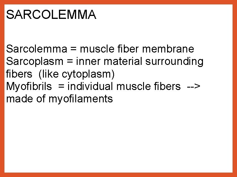 SARCOLEMMA Sarcolemma = muscle fiber membrane Sarcoplasm = inner material surrounding fibers (like cytoplasm)