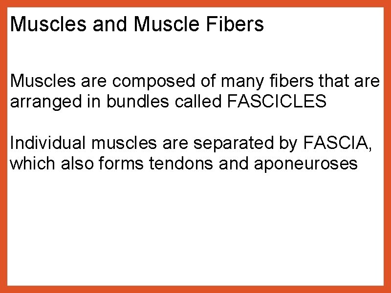 Muscles and Muscle Fibers Muscles are composed of many fibers that are arranged in