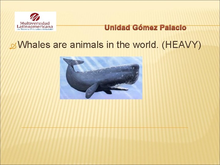 Unidad Gómez Palacio Whales are animals in the world. (HEAVY) 