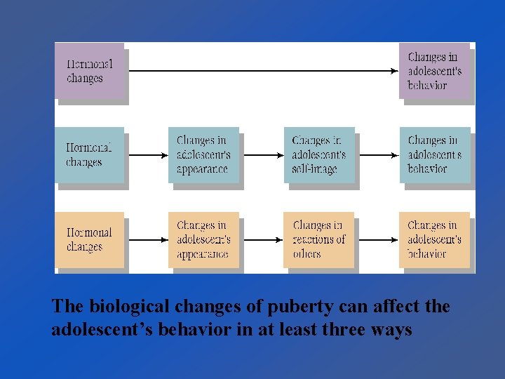 The biological changes of puberty can affect the adolescent’s behavior in at least three