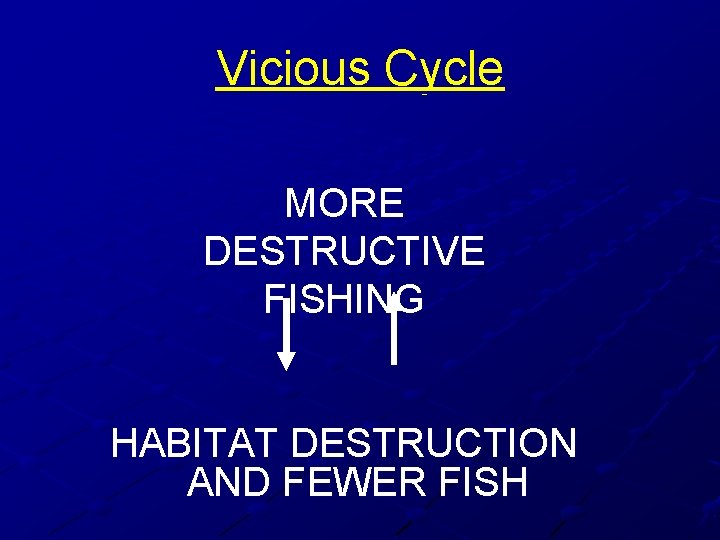 Vicious Cycle MORE DESTRUCTIVE FISHING HABITAT DESTRUCTION AND FEWER FISH 