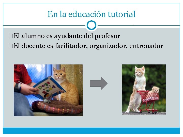 En la educación tutorial �El alumno es ayudante del profesor �El docente es facilitador,