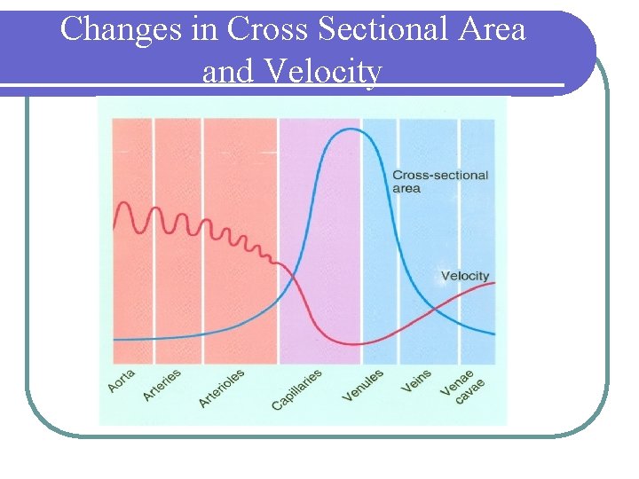 Changes in Cross Sectional Area and Velocity 