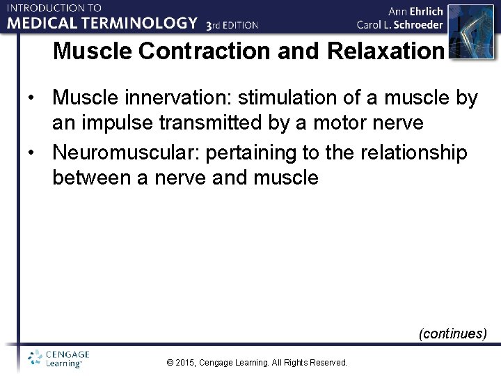 Muscle Contraction and Relaxation • Muscle innervation: stimulation of a muscle by an impulse