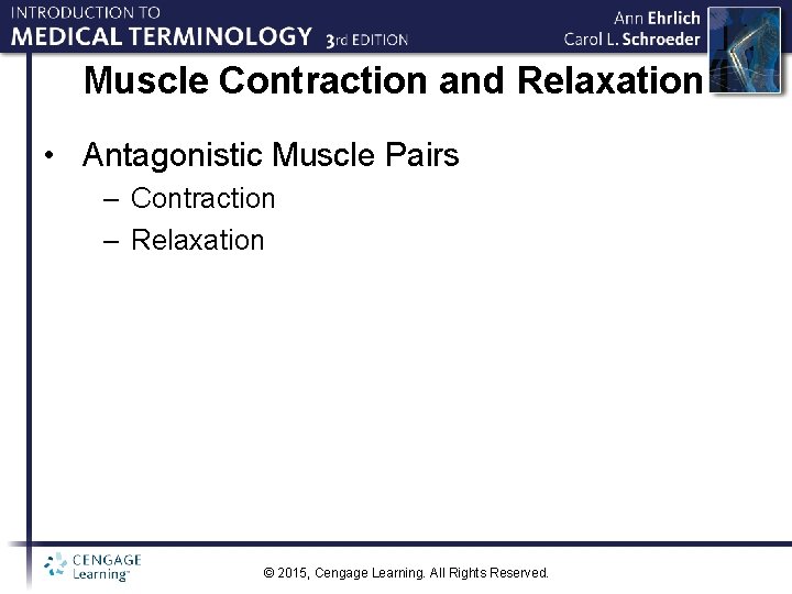 Muscle Contraction and Relaxation • Antagonistic Muscle Pairs – Contraction – Relaxation © 2015,
