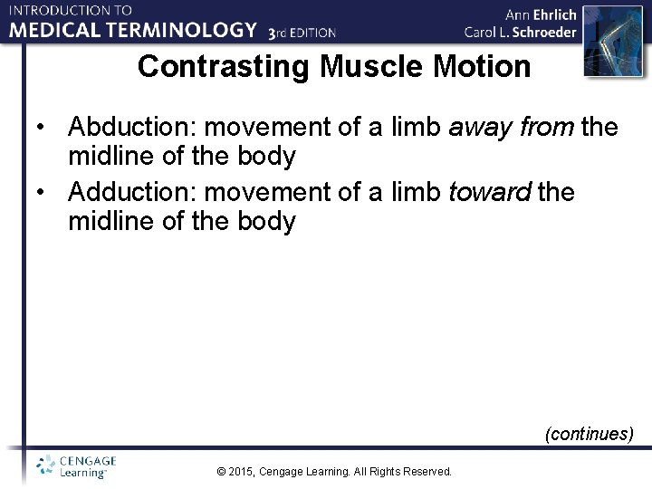 Contrasting Muscle Motion • Abduction: movement of a limb away from the midline of