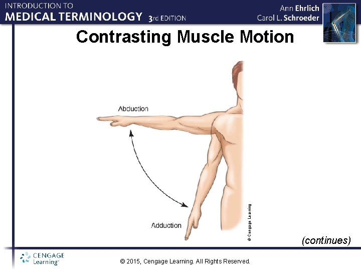 © Cengage Learning Contrasting Muscle Motion © 2015, Cengage Learning. All Rights Reserved. (continues)