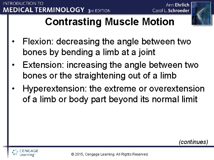 Contrasting Muscle Motion • Flexion: decreasing the angle between two bones by bending a