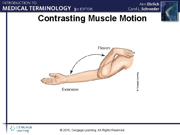 © Cengage Learning Contrasting Muscle Motion © 2015, Cengage Learning. All Rights Reserved. 