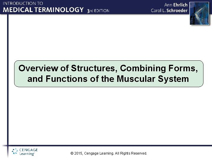 Overview of Structures, Combining Forms, and Functions of the Muscular System © 2015, Cengage