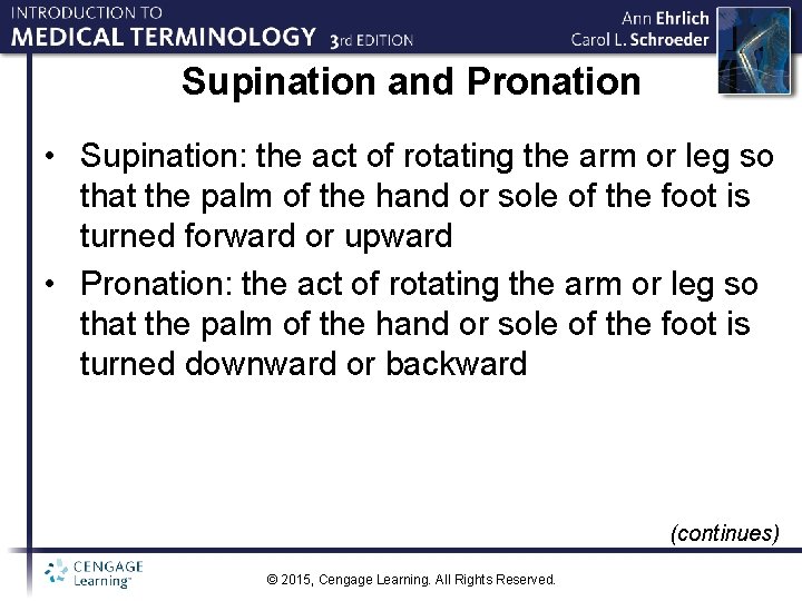 Supination and Pronation • Supination: the act of rotating the arm or leg so
