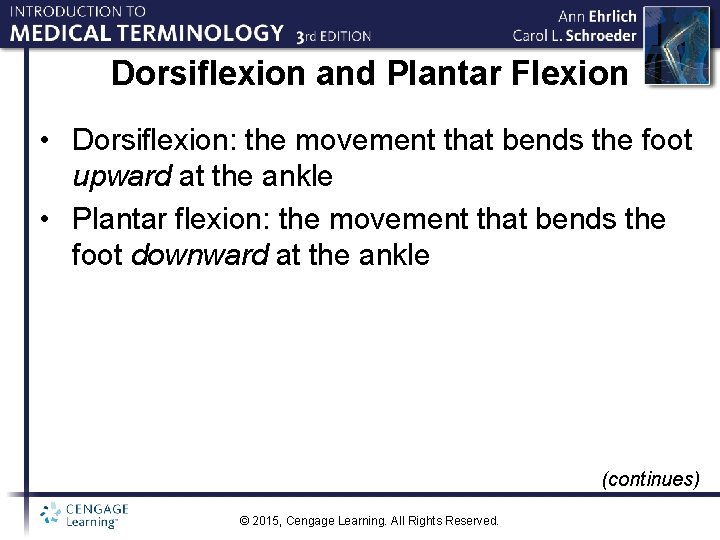 Dorsiflexion and Plantar Flexion • Dorsiflexion: the movement that bends the foot upward at