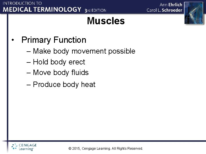 Muscles • Primary Function – Make body movement possible – Hold body erect –