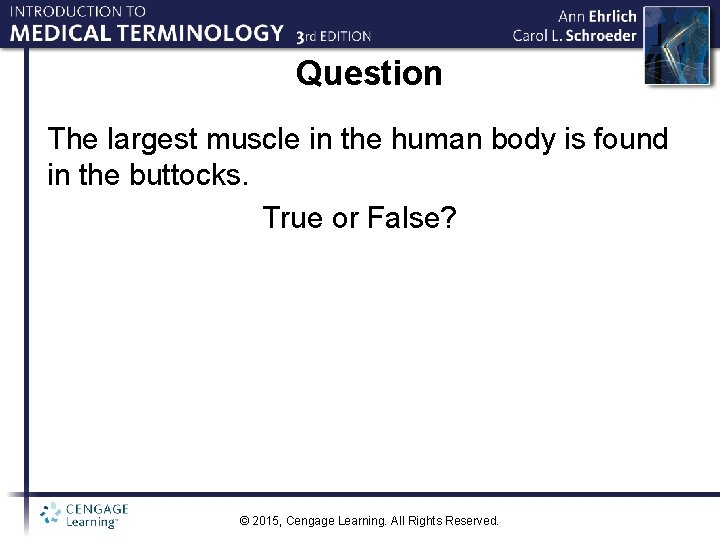 Question The largest muscle in the human body is found in the buttocks. True