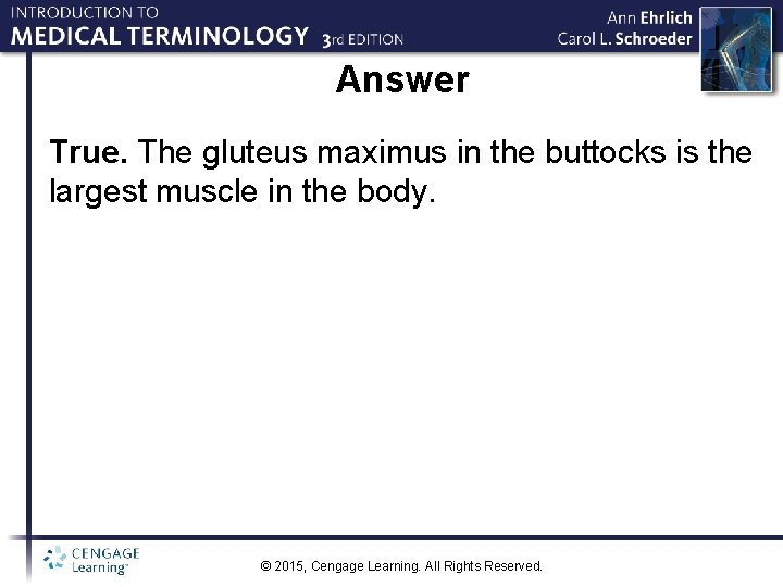 Answer True. The gluteus maximus in the buttocks is the largest muscle in the