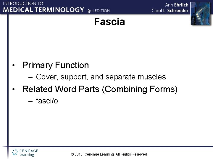 Fascia • Primary Function – Cover, support, and separate muscles • Related Word Parts