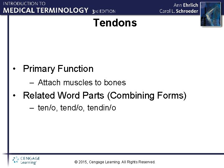 Tendons • Primary Function – Attach muscles to bones • Related Word Parts (Combining