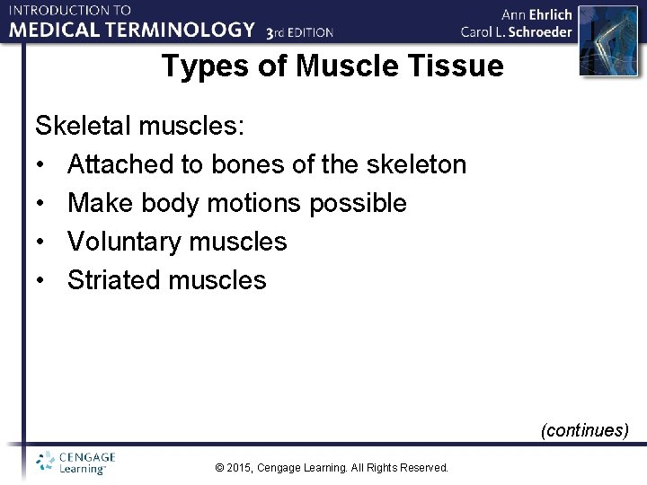 Types of Muscle Tissue Skeletal muscles: • Attached to bones of the skeleton •