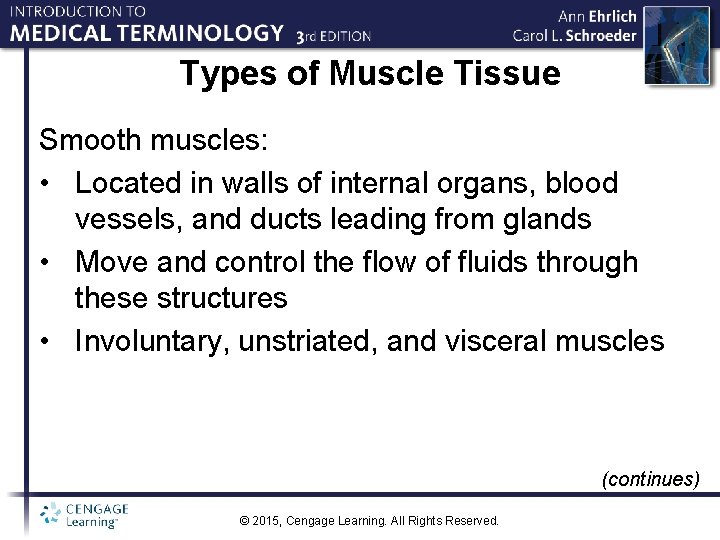 Types of Muscle Tissue Smooth muscles: • Located in walls of internal organs, blood