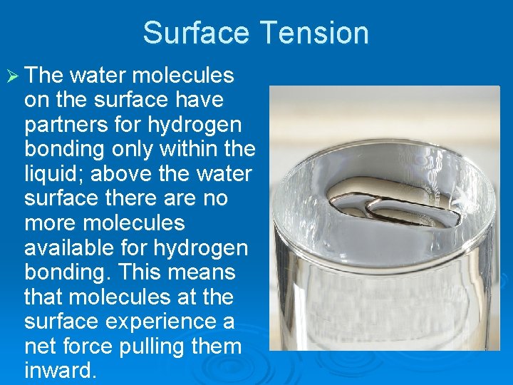 Surface Tension Ø The water molecules on the surface have partners for hydrogen bonding