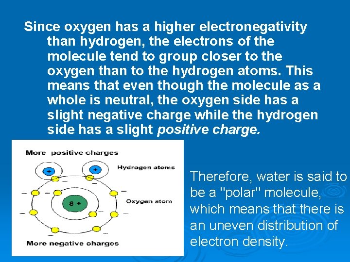 Since oxygen has a higher electronegativity than hydrogen, the electrons of the molecule tend