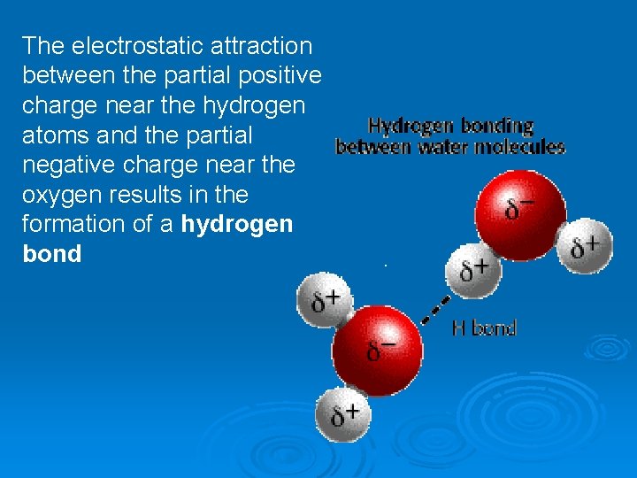 The electrostatic attraction between the partial positive charge near the hydrogen atoms and the