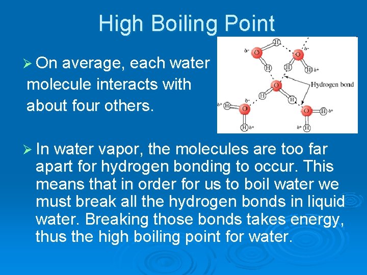 High Boiling Point Ø On average, each water molecule interacts with about four others.