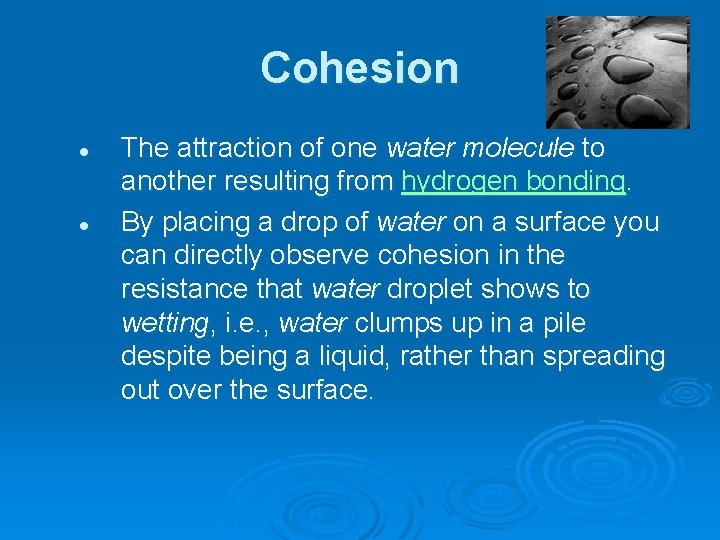 Cohesion l l The attraction of one water molecule to another resulting from hydrogen