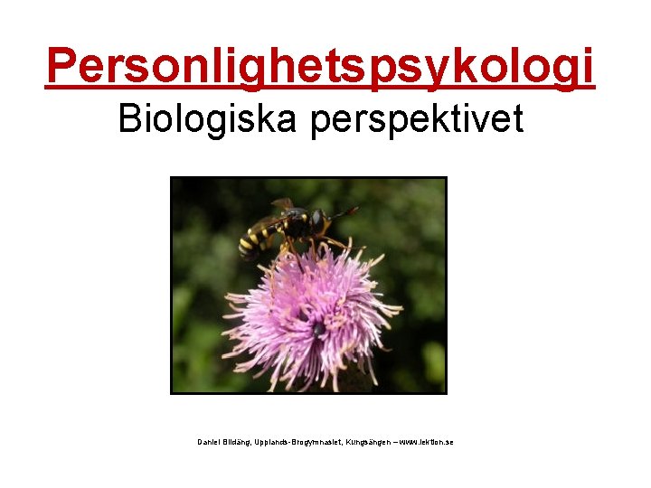 Personlighetspsykologi Biologiska perspektivet Daniel Blidäng, Upplands-Brogymnasiet, Kungsängen – www. lektion. se 
