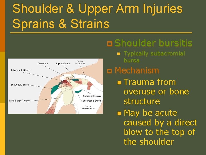 Shoulder & Upper Arm Injuries Sprains & Strains p Shoulder n p bursitis Typically