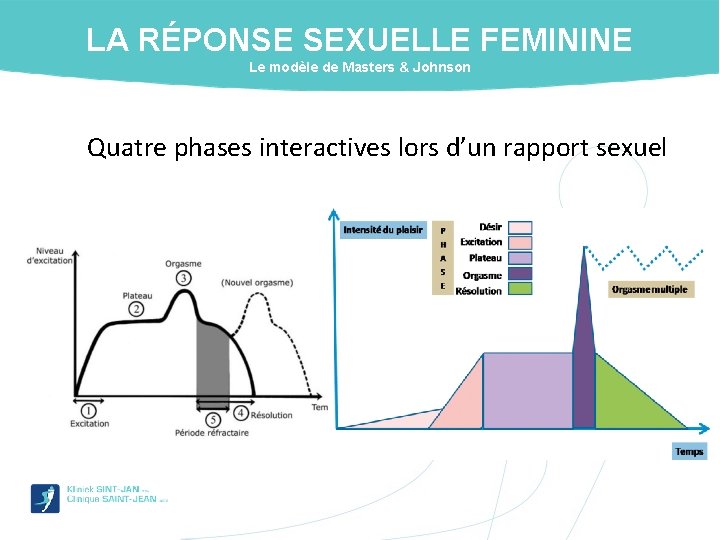 LA RÉPONSE SEXUELLE FEMININE Le modèle de Masters & Johnson Quatre phases interactives lors