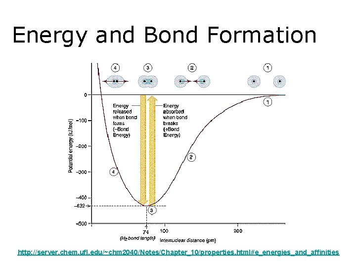 Energy and Bond Formation http: //server. chem. ufl. edu/~chm 2040/Notes/Chapter_10/properties. html#e_energies_and_affinities 