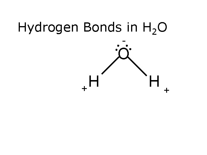 Hydrogen Bonds in H 2 O - O H + H+ 