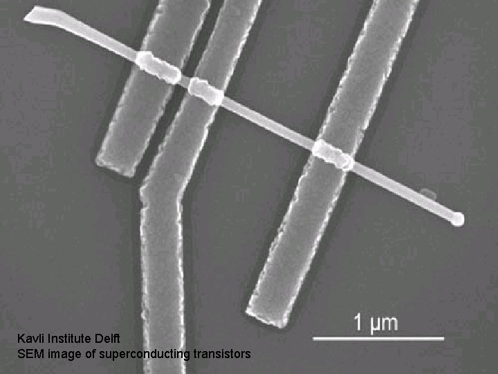 Kavli Institute Delft SEM image of superconducting transistors 