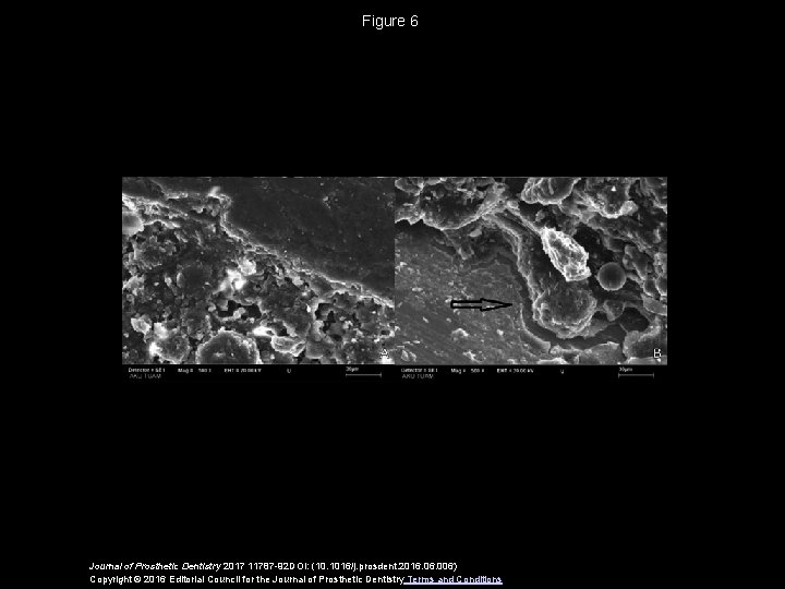 Surface roughness and adaptation of different materials to