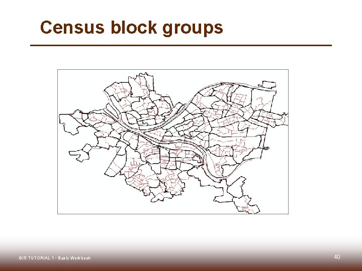 Census block groups GIS TUTORIAL 1 - Basic Workbook 40 