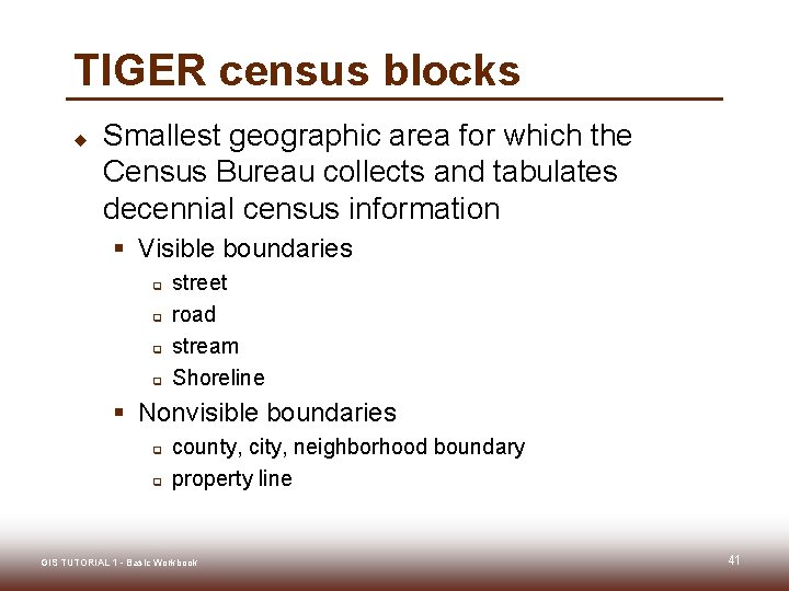 TIGER census blocks u Smallest geographic area for which the Census Bureau collects and