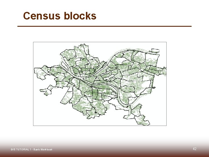 Census blocks GIS TUTORIAL 1 - Basic Workbook 42 