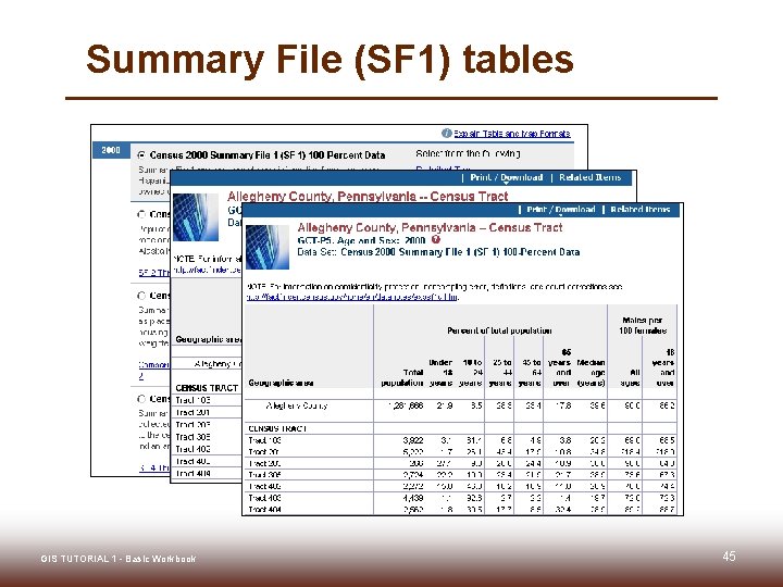 Summary File (SF 1) tables GIS TUTORIAL 1 - Basic Workbook 45 