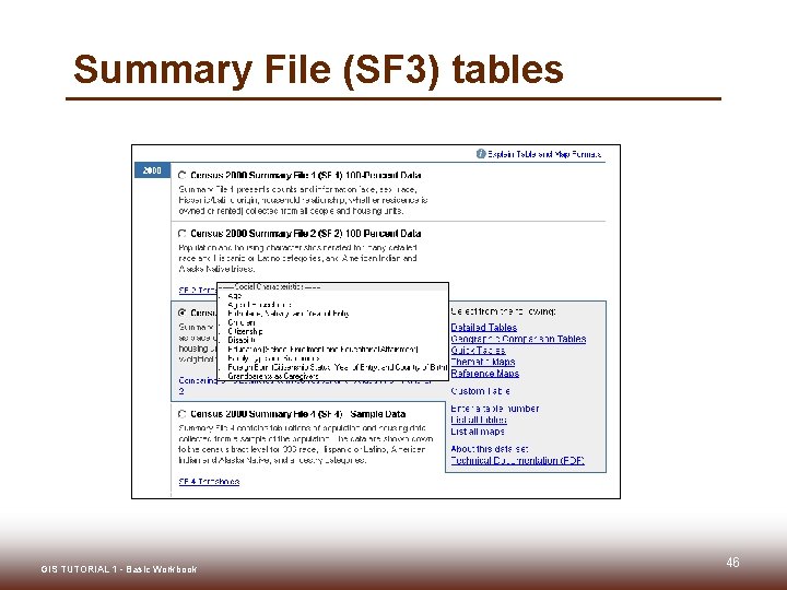 Summary File (SF 3) tables GIS TUTORIAL 1 - Basic Workbook 46 