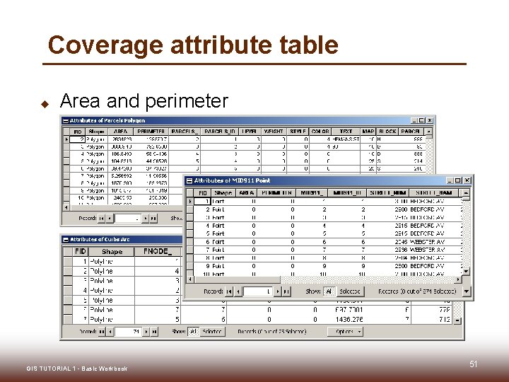 Coverage attribute table u Area and perimeter § Coverage_ and Coverage_ID GIS TUTORIAL 1