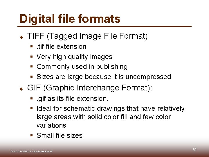 Digital file formats u TIFF (Tagged Image File Format) § § u . tif