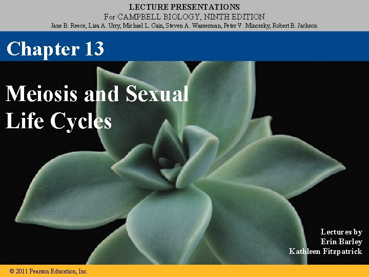 LECTURE PRESENTATIONS For CAMPBELL BIOLOGY, NINTH EDITION Jane B. Reece, Lisa A. Urry, Michael