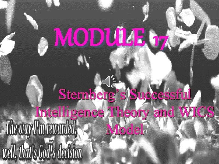MODULE 17 Sternberg’s Successful Intelligence Theory and WICS Model 