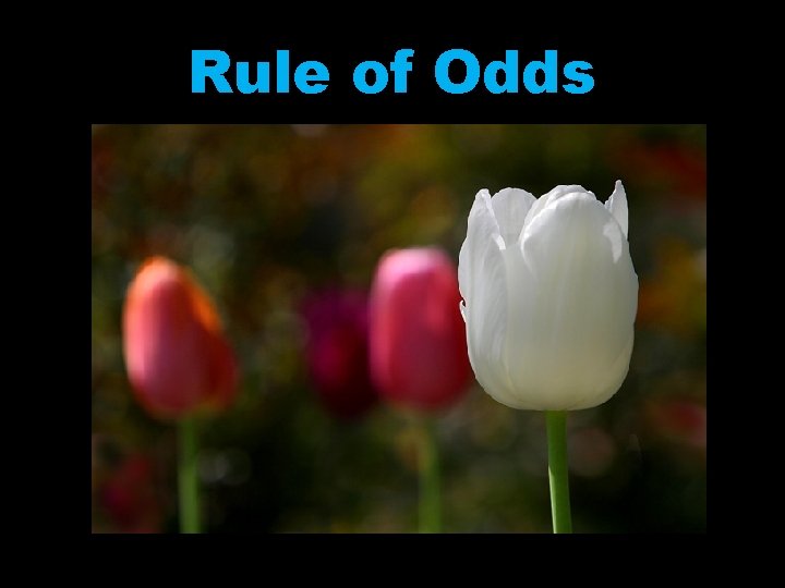 Rule of Odds 