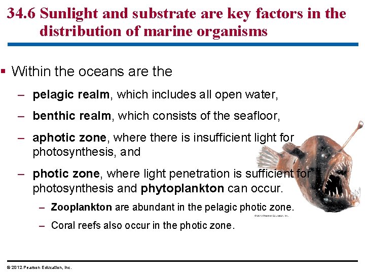 34. 6 Sunlight and substrate are key factors in the distribution of marine organisms